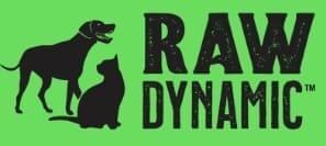 Raw Dynamic Logo
