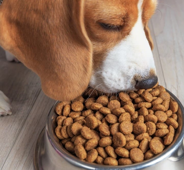 Dry Kibble Whole Pet Pros